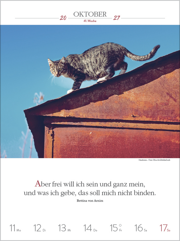 Literaturkalender Katzen 2027, Innenansicht #10