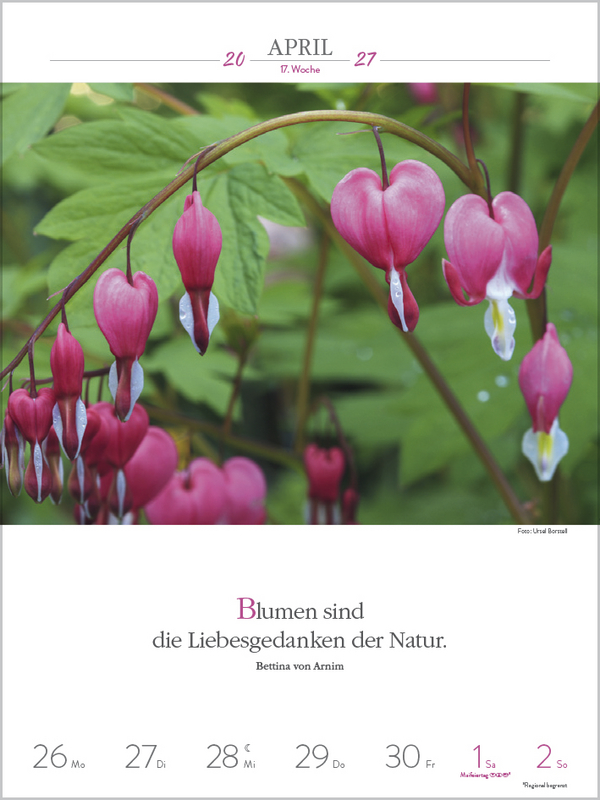 Literaturkalender Gartenlust 2027, Innenansicht #5