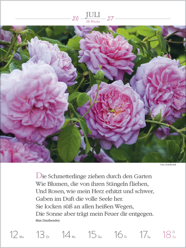 Literaturkalender Gartenlust 2027, Innenansicht #9
