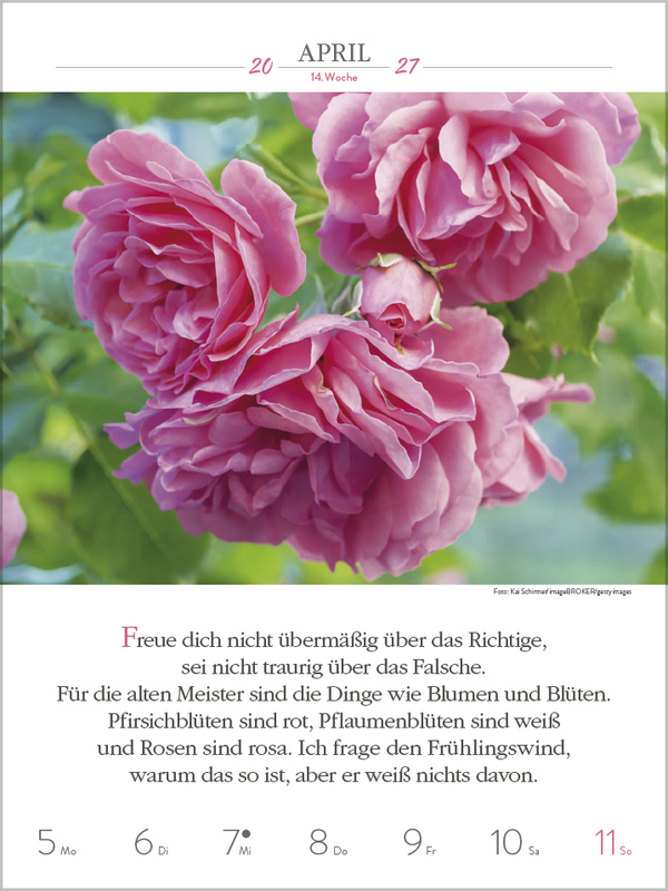 Buddhistische Weisheiten 2027, Innenansicht #5