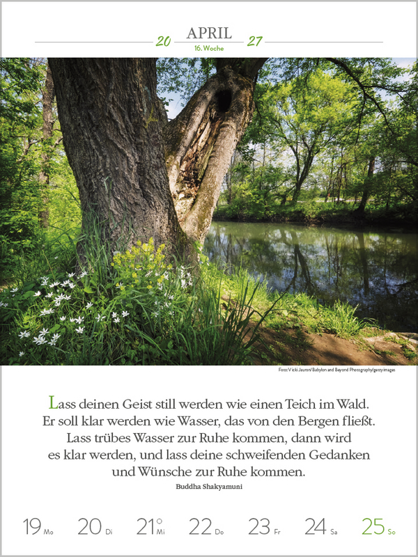 Buddhistische Weisheiten 2027, Innenansicht #6