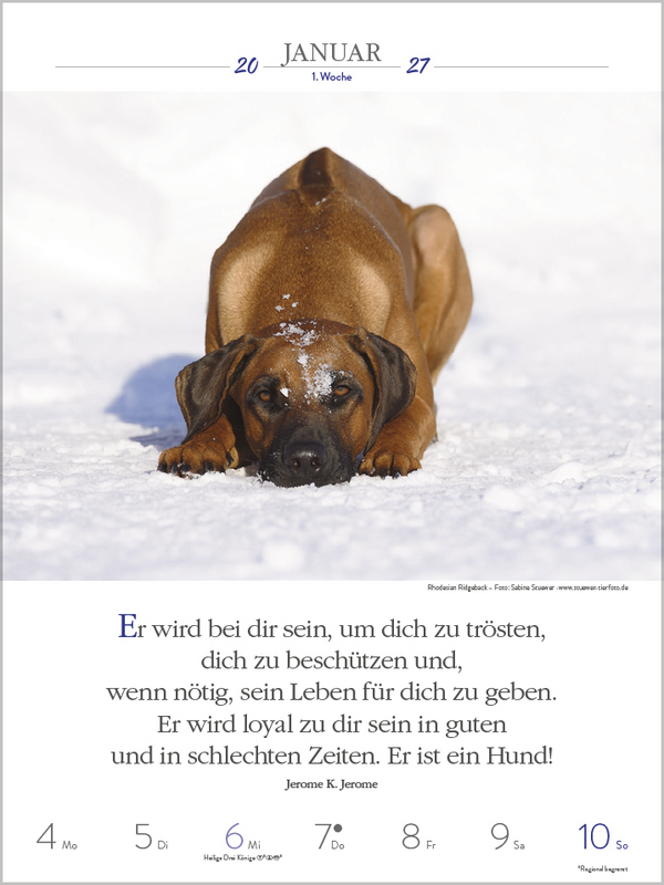 Literaturkalender Hunde 2027, Innenansicht #1