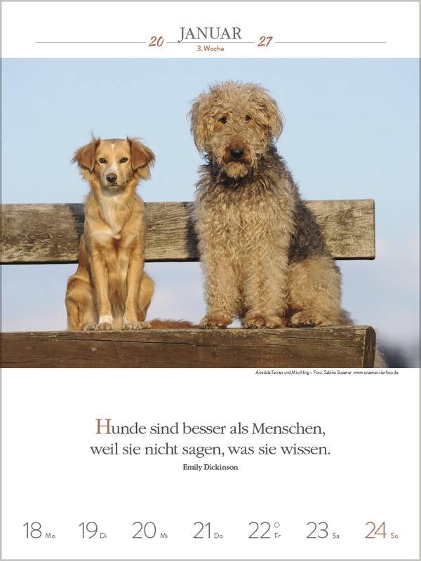 Literaturkalender Hunde 2027, Innenansicht #2