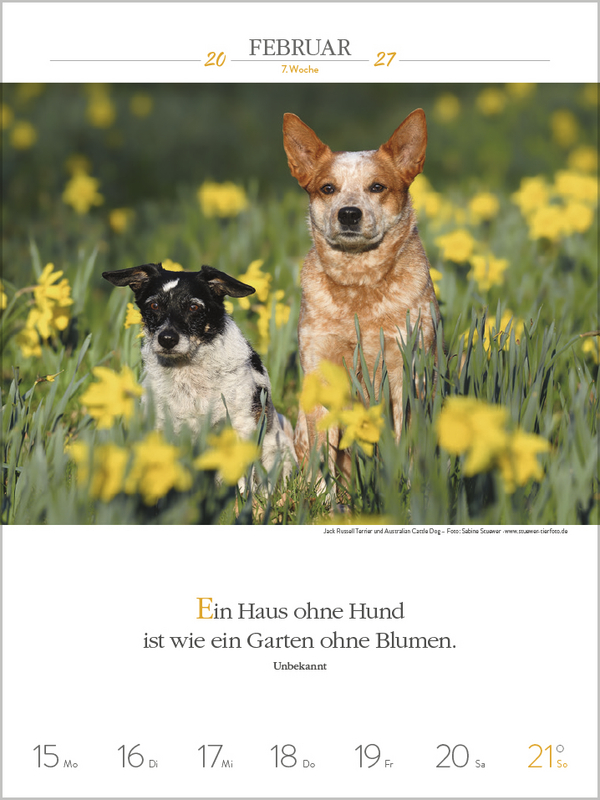 Literaturkalender Hunde 2027, Innenansicht #3