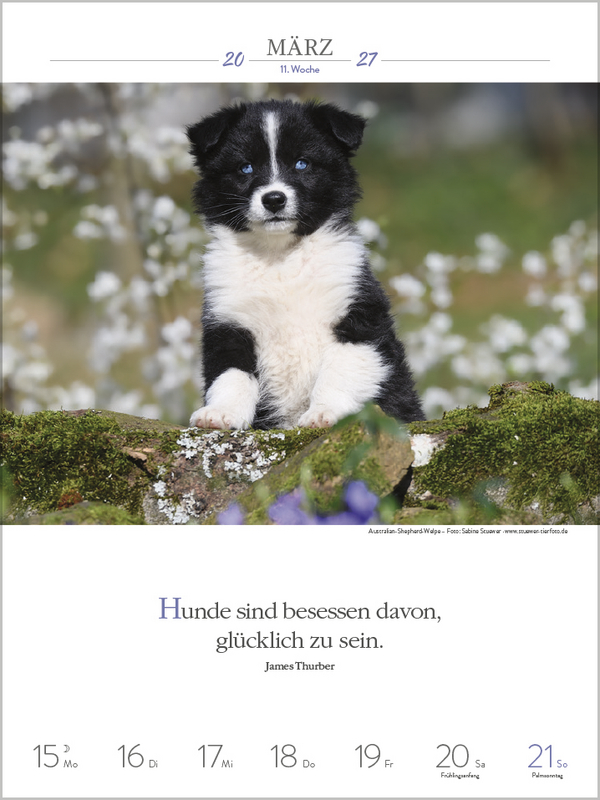 Literaturkalender Hunde 2027, Innenansicht #4