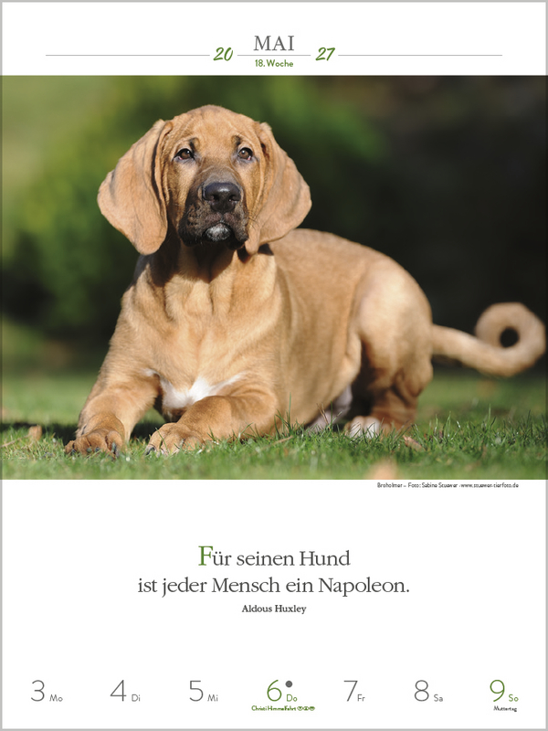 Literaturkalender Hunde 2027, Innenansicht #6