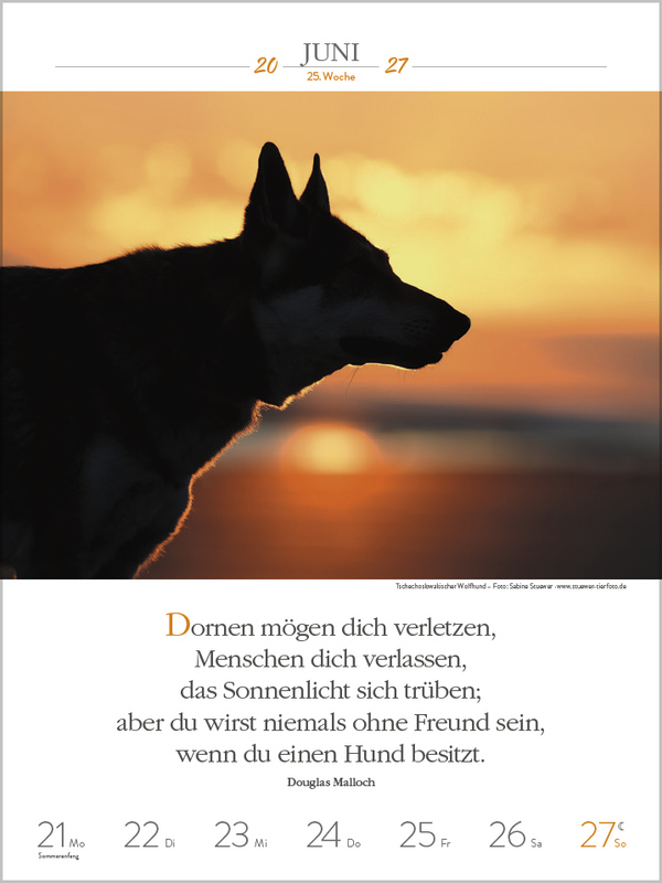 Literaturkalender Hunde 2027, Innenansicht #10