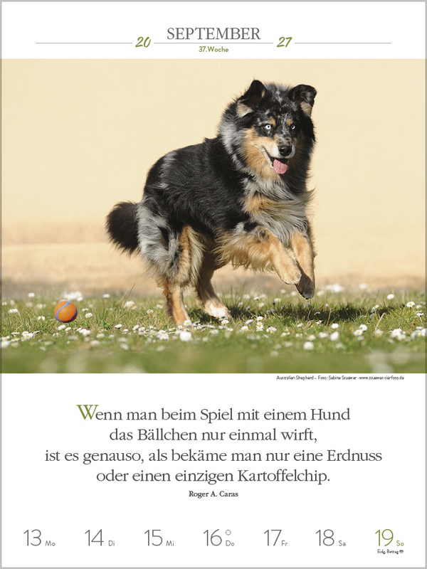Literaturkalender Hunde 2027, Innenansicht #12