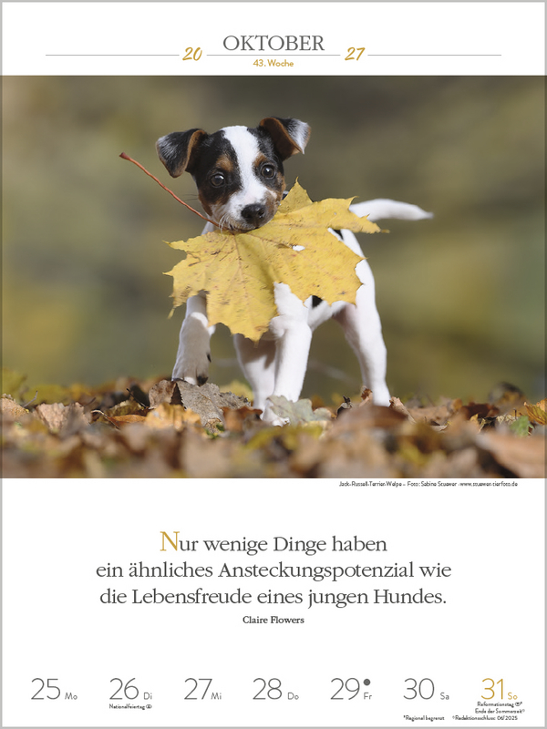 Literaturkalender Hunde 2027, Innenansicht #13