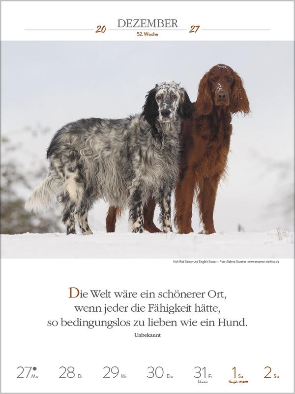 Literaturkalender Hunde 2027, Innenansicht #14