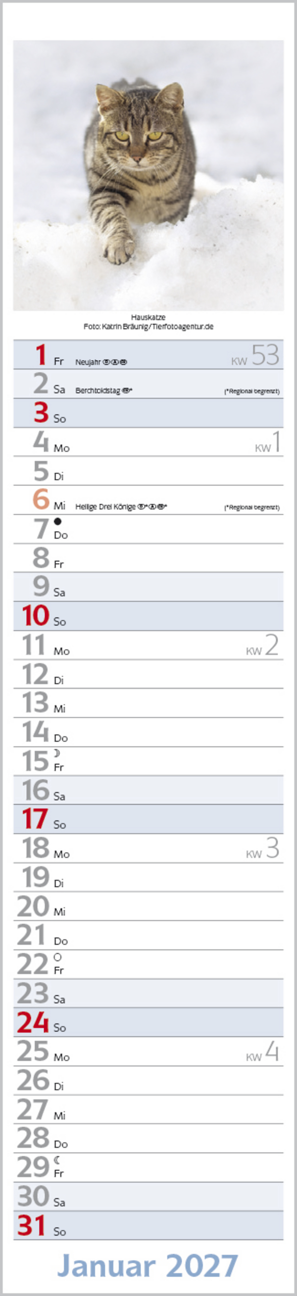 Katzen Langplaner 2027, Innenansicht #1