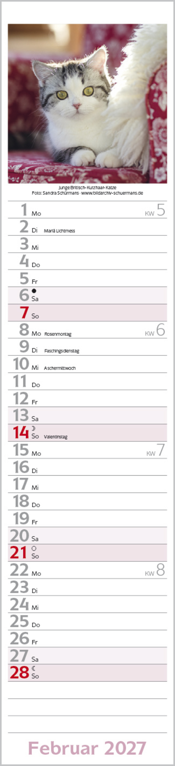 Katzen Langplaner 2027, Innenansicht #2