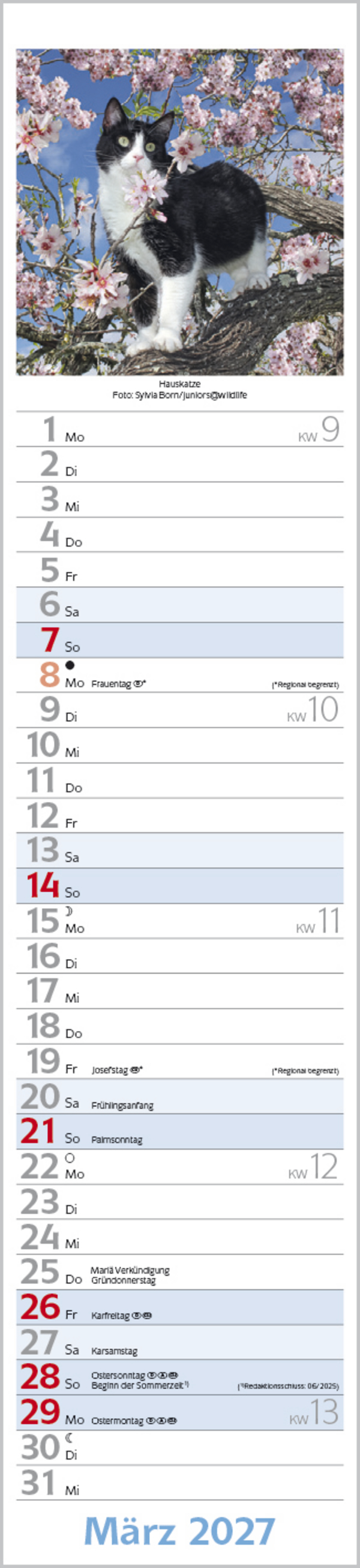 Katzen Langplaner 2027, Innenansicht #3