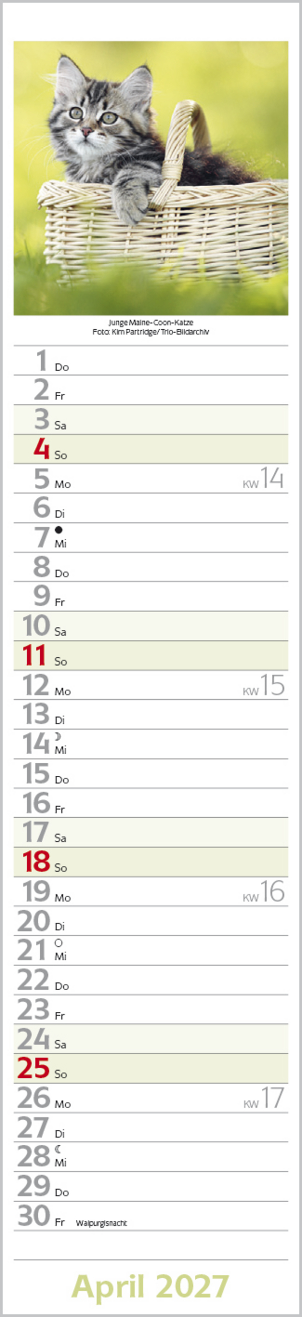 Katzen Langplaner 2027, Innenansicht #4