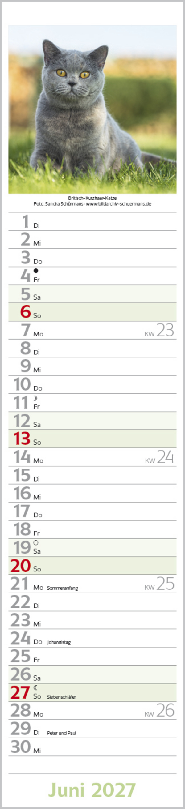 Katzen Langplaner 2027, Innenansicht #6