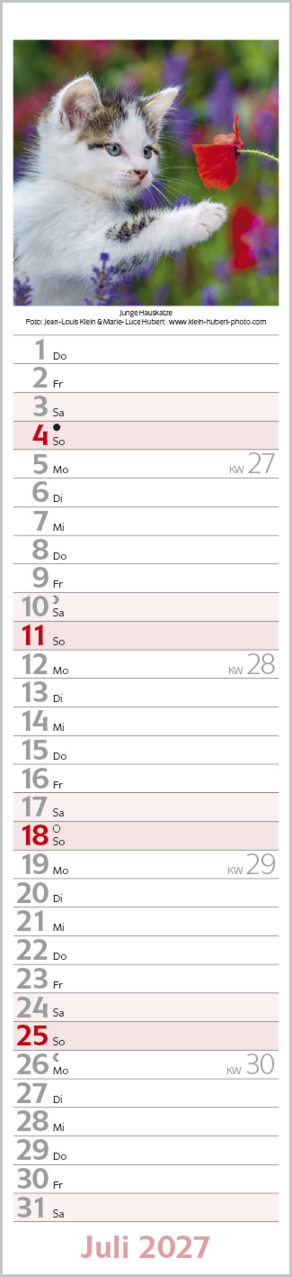 Katzen Langplaner 2027, Innenansicht #7