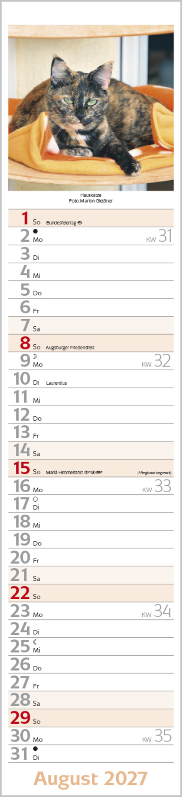 Katzen Langplaner 2027, Innenansicht #8