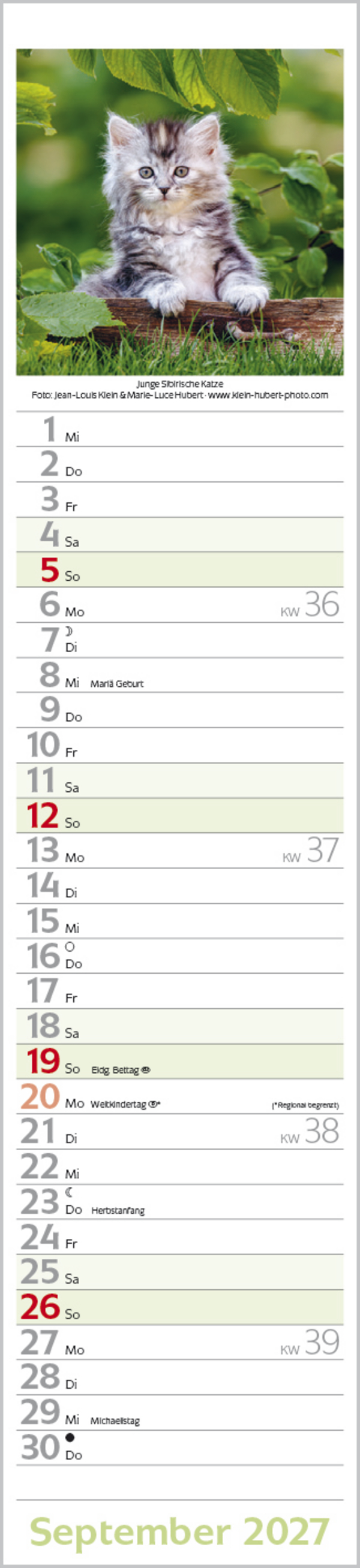 Katzen Langplaner 2027, Innenansicht #9