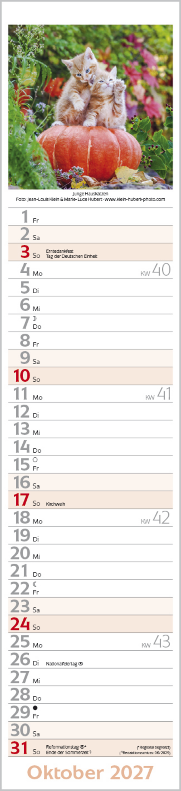 Katzen Langplaner 2027, Innenansicht #10