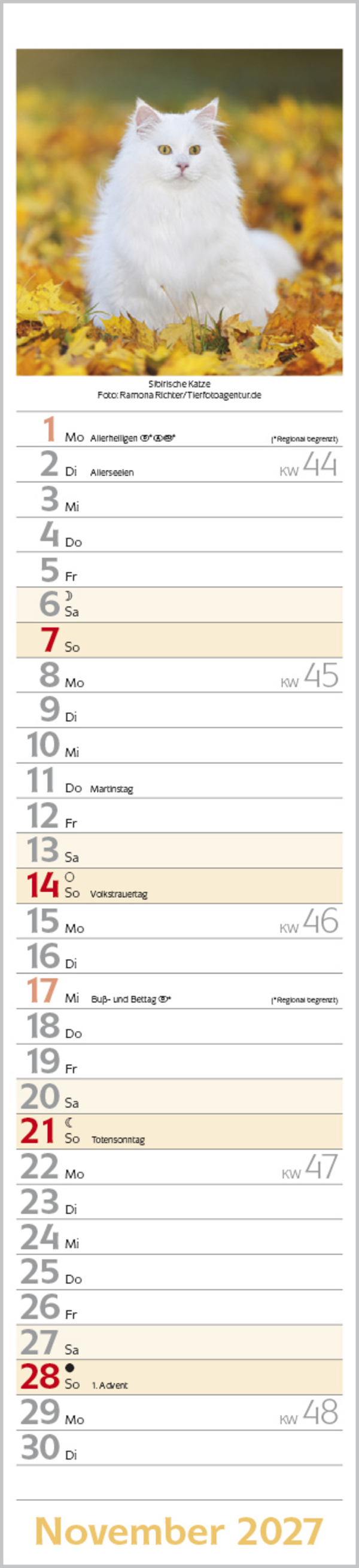 Katzen Langplaner 2027, Innenansicht #11