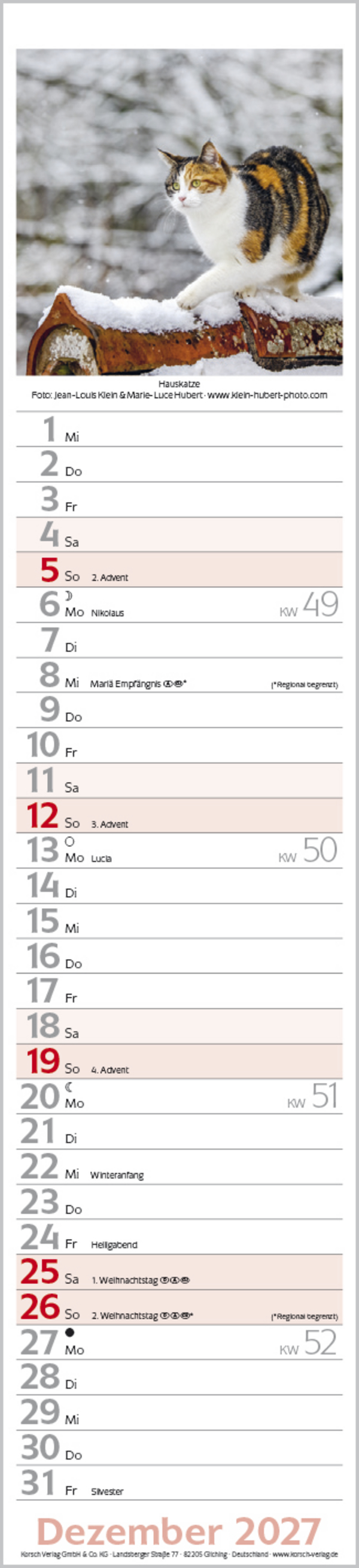 Katzen Langplaner 2027, Innenansicht #12