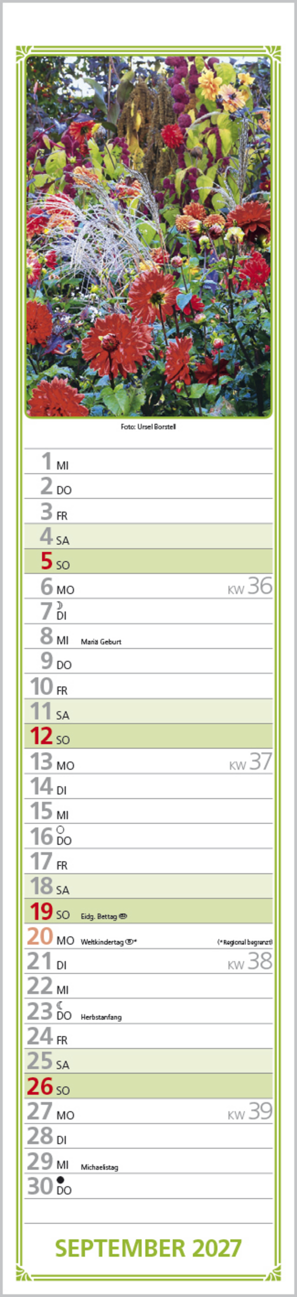 Rudis Gartenplaner 2027, Innenansicht #11