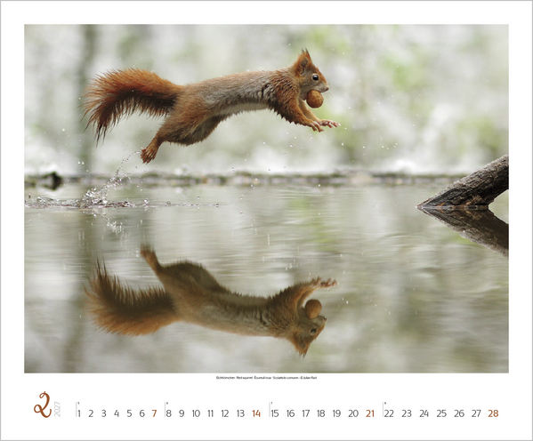 WaldLife 2027, Innenansicht #2