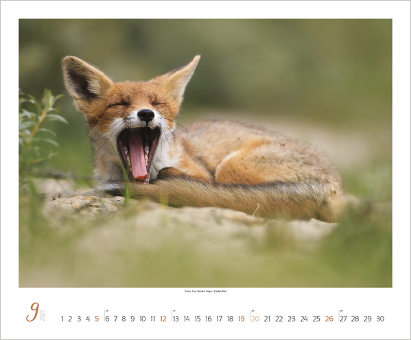 WaldLife 2027, Innenansicht #9