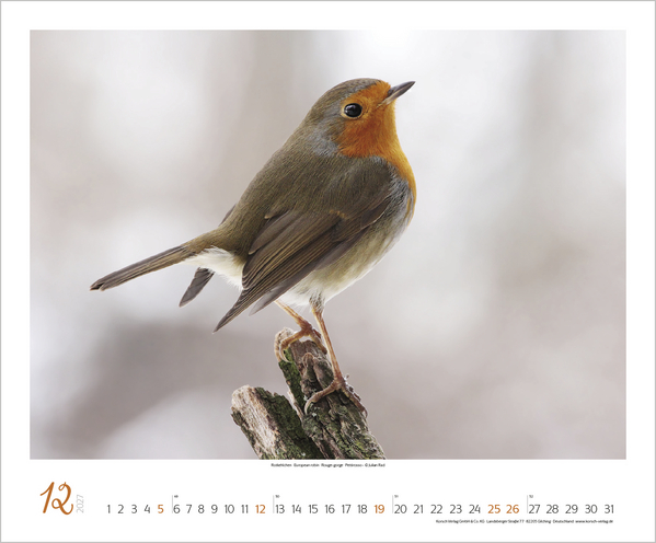 WaldLife 2027, Innenansicht #12