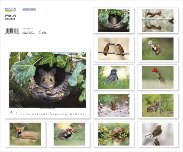 WaldLife 2027, Innenansicht #13