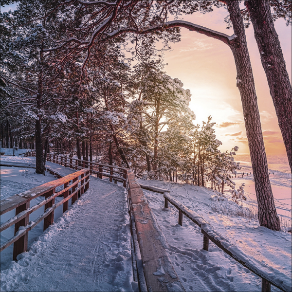 Magische W&auml;lder 2027, Innenansicht #2