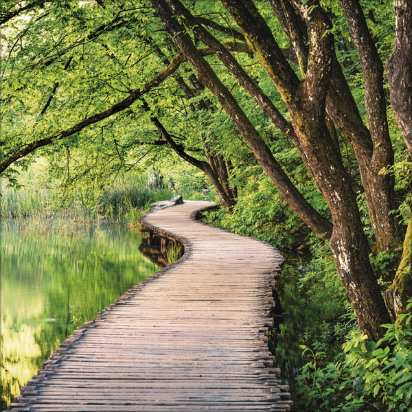 Magische W&auml;lder 2027, Innenansicht #5