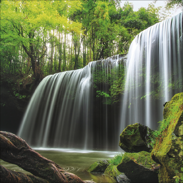 Magische W&auml;lder 2027, Innenansicht #8