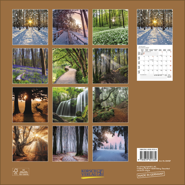 Magische W&auml;lder 2027, Innenansicht #13