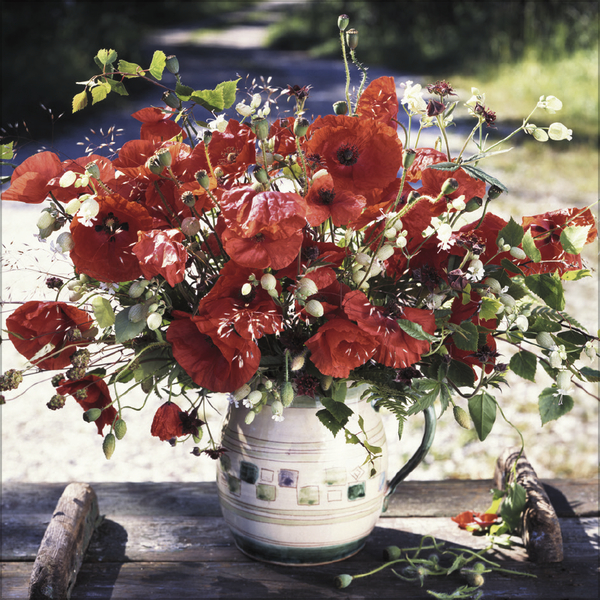 Flowers 2027, Innenansicht #6