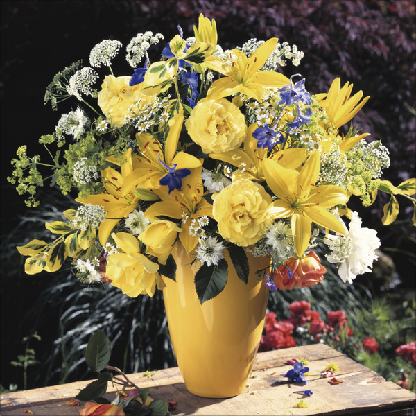 Flowers 2027, Innenansicht #8