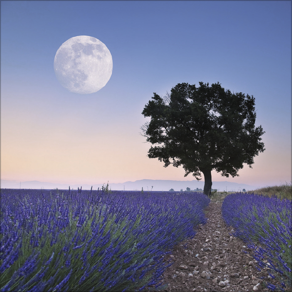 Der gro&szlig;e Mondplaner 2027, Innenansicht #7