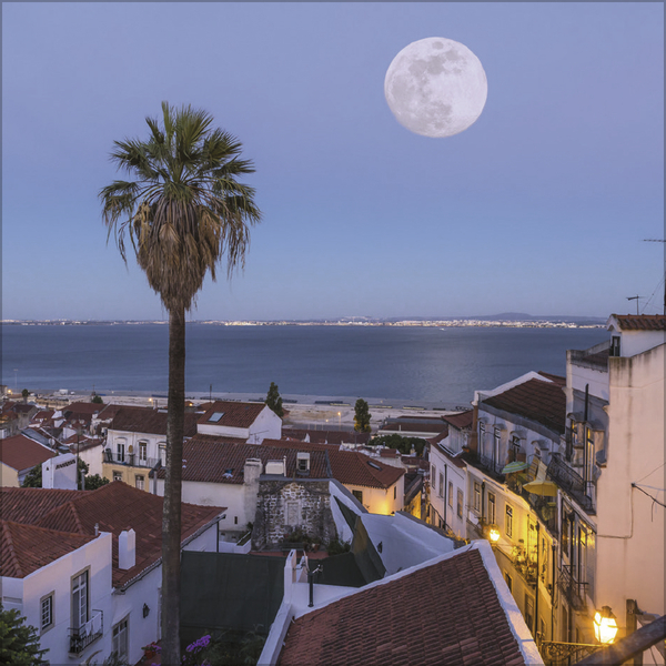 Der gro&szlig;e Mondplaner 2027, Innenansicht #8