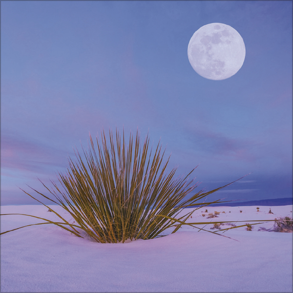 Der gro&szlig;e Mondplaner 2027, Innenansicht #9