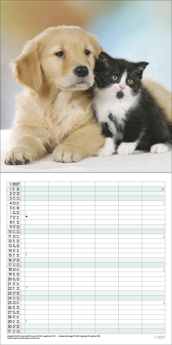 Tierfreundschaften - Familientimer 2027, Innenansicht #1