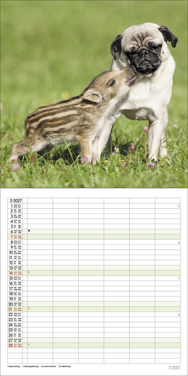 Tierfreundschaften - Familientimer 2027, Innenansicht #2