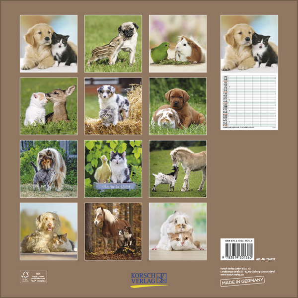 Tierfreundschaften - Familientimer 2027, Innenansicht #13