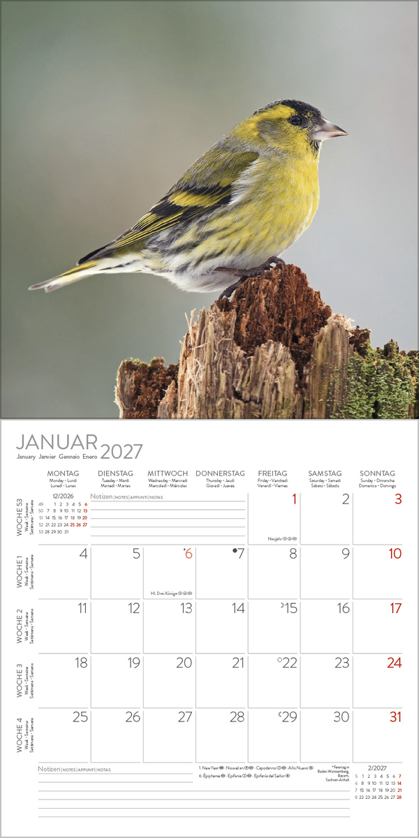 V&ouml;gel 2027, Innenansicht #1