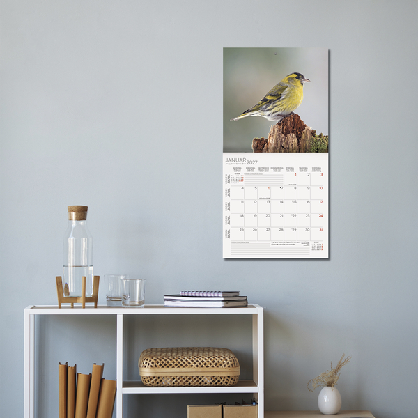 V&ouml;gel 2027, Innenansicht #16