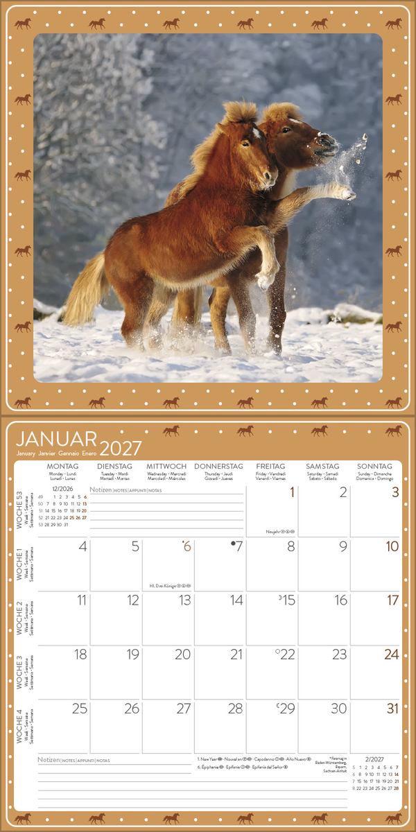 Pferdekalender 2027, Innenansicht #1