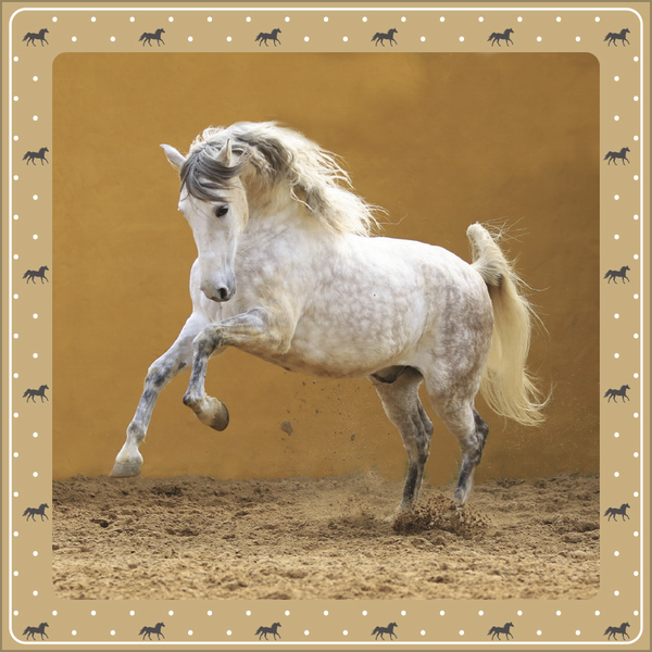 Pferdekalender 2027, Innenansicht #3