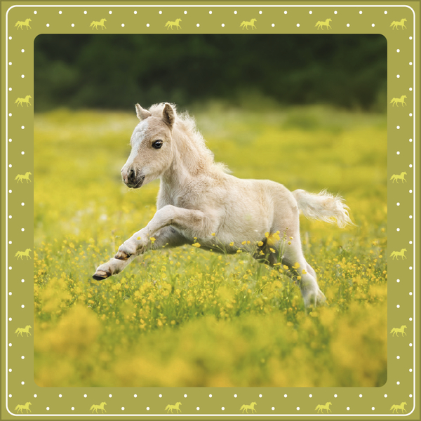 Pferdekalender 2027, Innenansicht #5