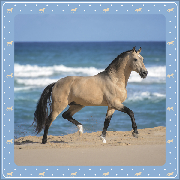 Pferdekalender 2027, Innenansicht #6