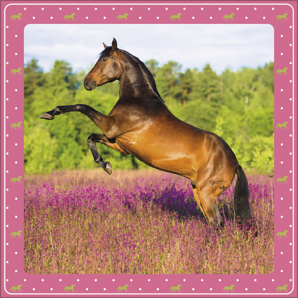 Pferdekalender 2027, Innenansicht #8