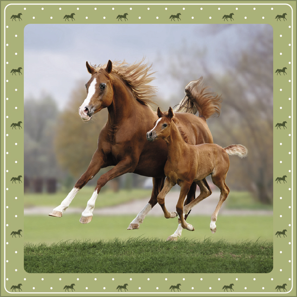 Pferdekalender 2027, Innenansicht #10